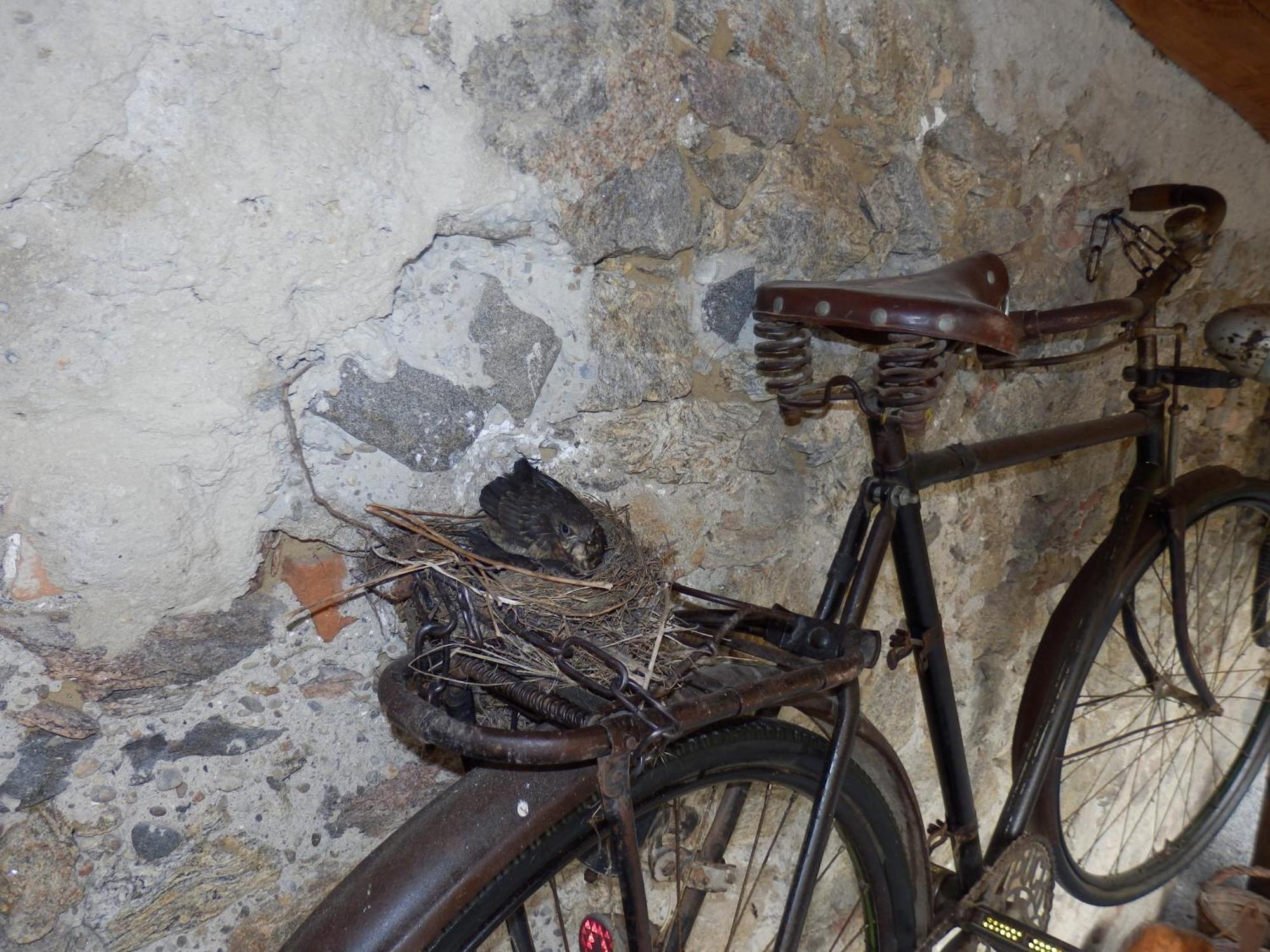 Heritage Dürnstein Eksteriør billede